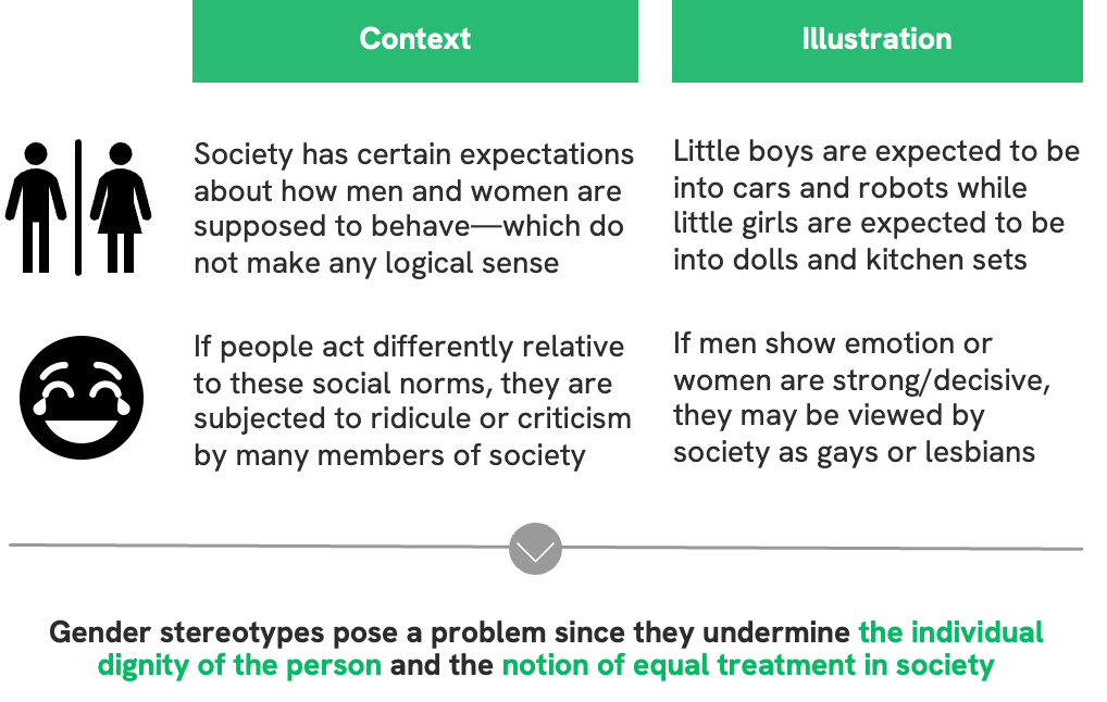 Gender stereotypes pose a problem since they undermine the individual dignity of the person and the notion of equal treatment in society 